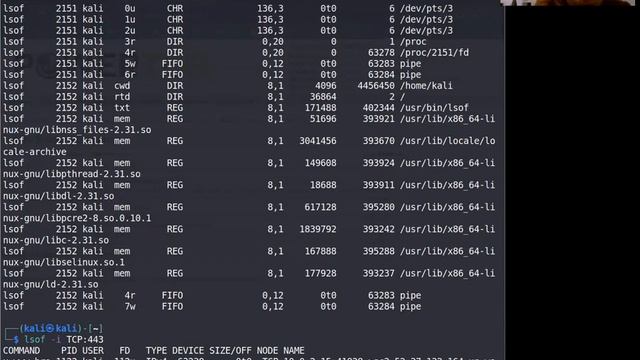 BN206 kali linux presentation смотреть онлайн