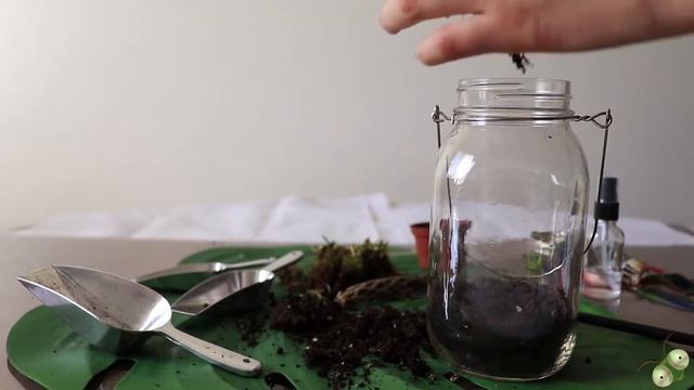 How to Make a Praying Mantis Nymph Jar смотреть онлайн