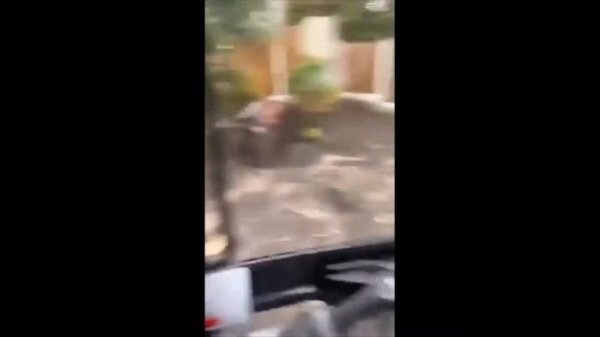 UNUSUAL MEMES COMPILATION V36 (Mr. Memes)