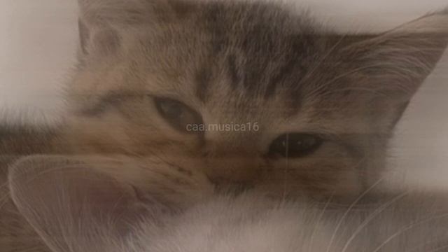 One Time - Justin Bieber (speed) #onetime #Justinbieber #speed