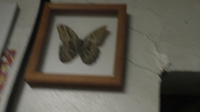 Трансмиссионки Ravenol 75W на морозе -46С смотреть онлайн