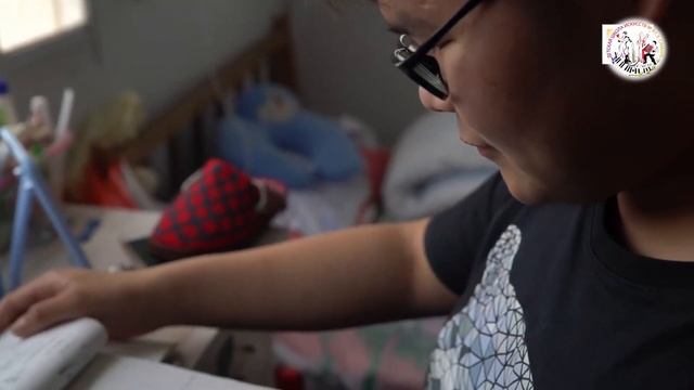 ДШИ ТВ. 2 выпуск "Школы Китая".