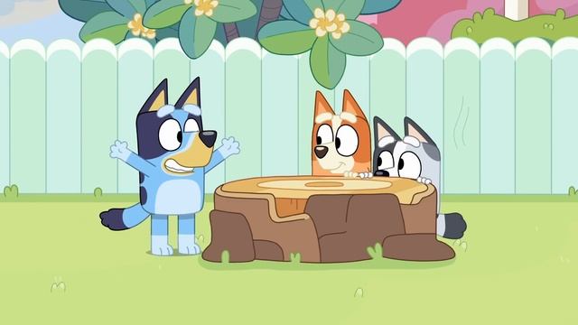 Fun With Cousins | Bluey