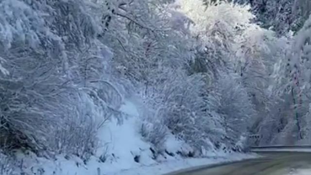 Душевные истории из жизни - Удивительный рассказ...