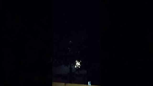 out my window last night ...😁 смотреть онлайн