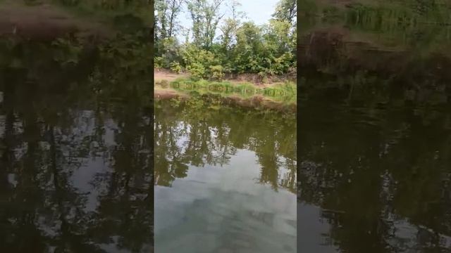 26 августа 2023 г. смотреть онлайн