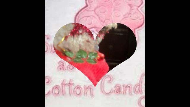 Valentine's Day Pictures - Gone Bye 2016 смотреть онлайн