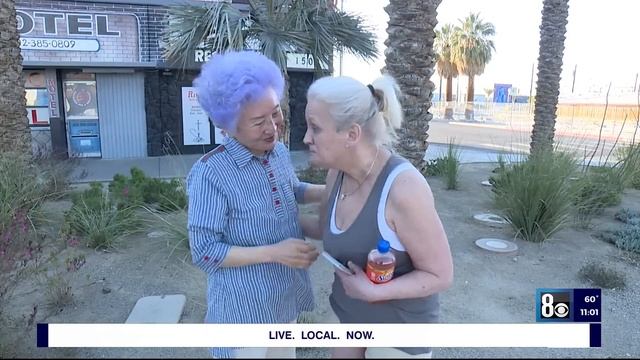 Downtown Las Vegas bed-and-breakfast shut down by city due to high crime in area смотреть онлайн