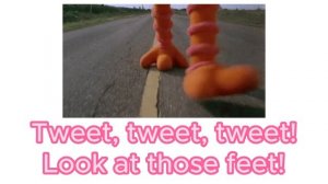 Academy Stars 1 | Unit 7 | Song - A tortoise can't dance | AS 1 U7 Song