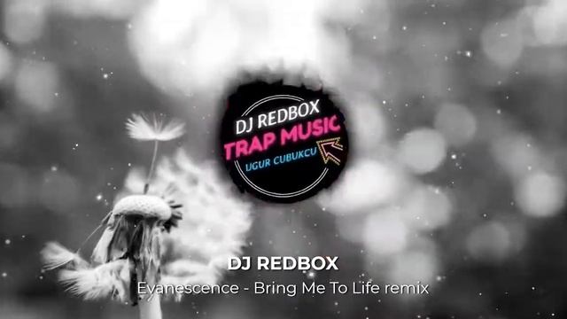 Evanescence - Bring Me To Life (DJ REDBOX Remix) смотреть онлайн