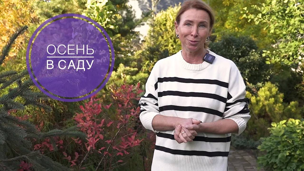 ОСЕНЬ В САДУ смотреть онлайн
