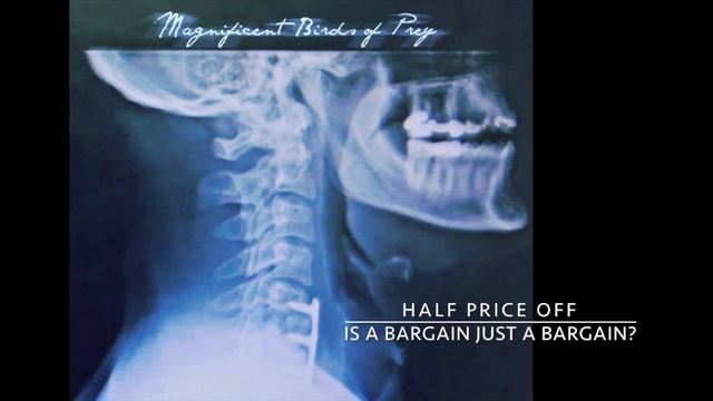 Magnificent Birds of Prey - Shopping Mall (Lyric Video) смотреть онлайн
