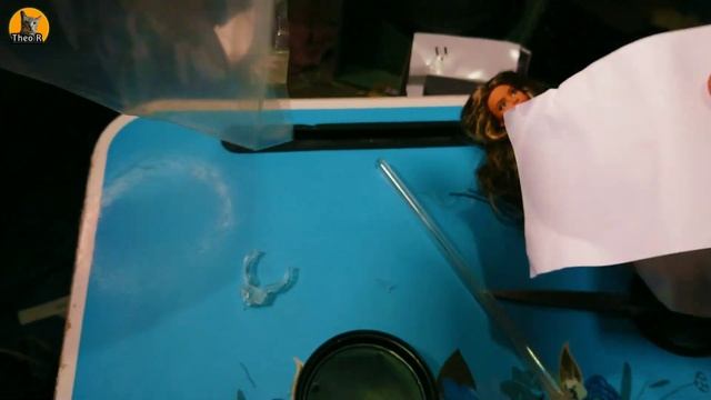 UNBOXING BARBIE SIGNATURE LOOKS MTM BRUNNETE HAIR SHOPEE