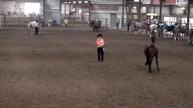 CC Kickin Yur Assets in the Lunge Line at IBF 2008 смотреть онлайн