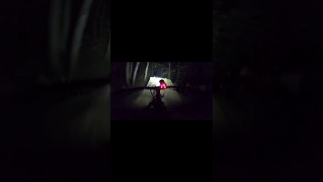 НОЧНОЙ БЕСПРЕДЕЛ НА ВЕЛОСИПЕДЕ смотреть онлайн