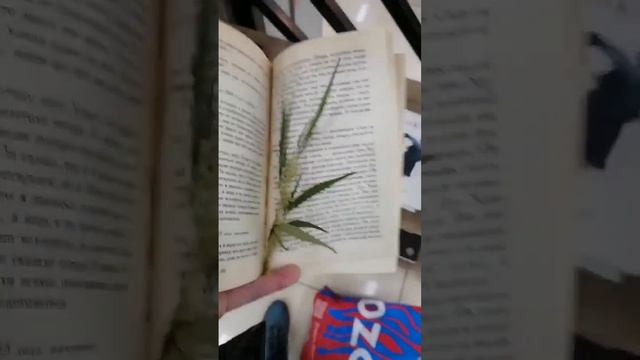 КК Учение Дона Хуана #осознанныесновидения #выходизтела #кастанеда #осознанныйсон #эзотерика #сон смотреть онлайн