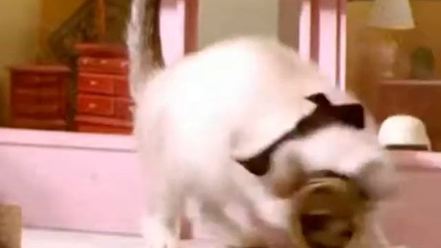 Fat Boy Slim - The Jocker смотреть онлайн