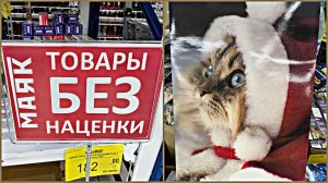 💞В МАЯК Светофор привезли новогодние товары, продукты октябрь 2024💞