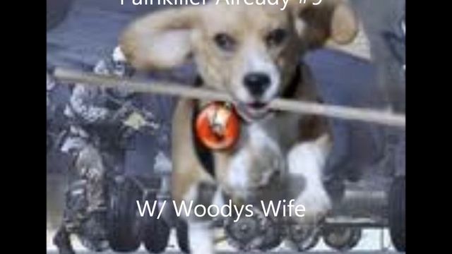 Painkiller Already 9 w/ Woodys Wife смотреть онлайн