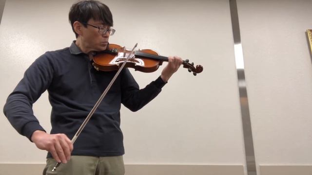 How Does a Moment Last Forever - from the album, Beauty and the Beast - Violin Cover смотреть онлайн