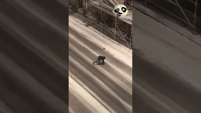 Вот же гибкая девчонка смотреть онлайн