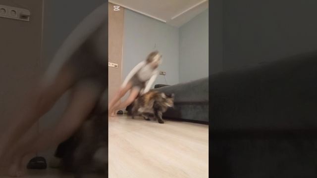 ......... смотреть онлайн