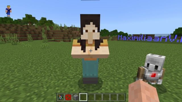 Minecraft Bedrock - Agent Mob FULL TUTORIAL! (Mobile/Windows/Console) смотреть онлайн