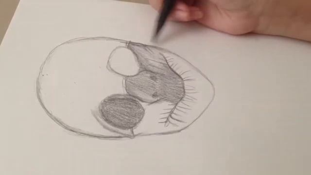 Payday 2 Wolf Mask Drawing смотреть онлайн