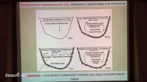 Гущин А.И. - Общая геология. Часть 1 - 15. Озера и болота, их геологическая роль