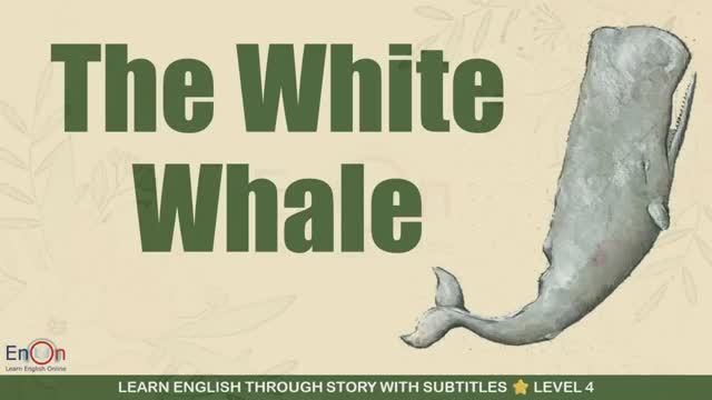 The White Whale