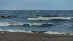 Видлицы 1 сентября 2017