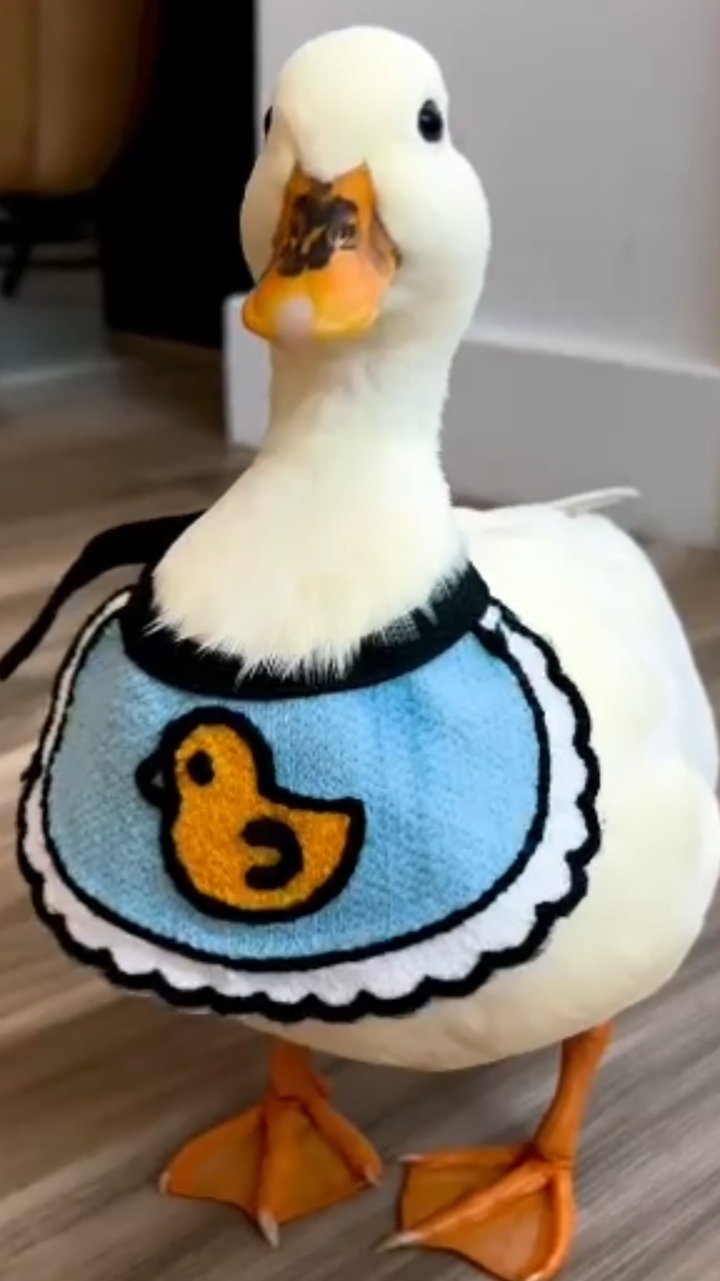 🌪️🌪️🌪️