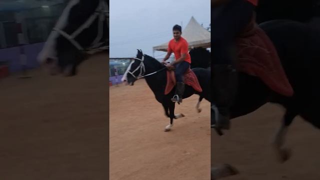 Hulk couldn't catch us 🐕🐎💯 смотреть онлайн