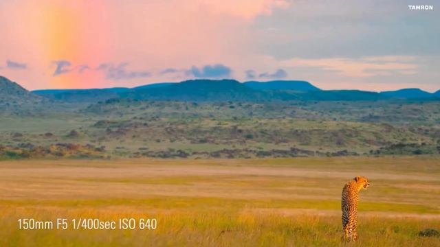 Tamron 150-500mm F/5-6.7 Di III VC VXD