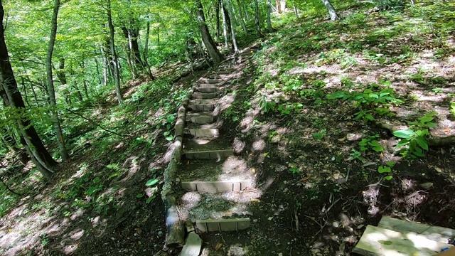 НАС НЕ ПУСКАЮТ В ЛЕС НА ВОДОПАД смотреть онлайн