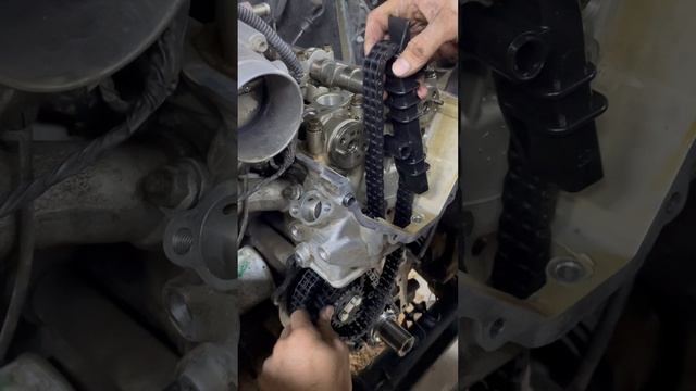 Записывайтесь в Попутчик!