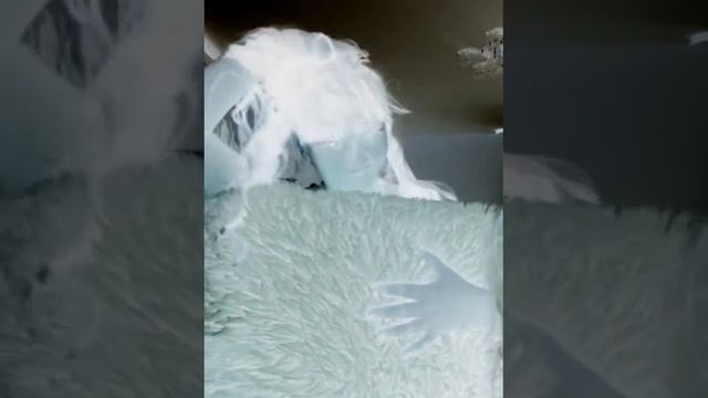 Как надо танцевать и РЖАТЬ! смотреть онлайн