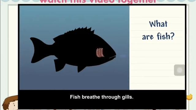 Grade 1 -Science --Mammal birds and fish revision смотреть онлайн