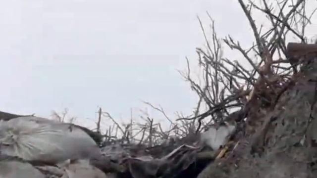 Tropas Ucranianas En Trincheras LUCHA A MUERTE CONTRA LOS RUSOS #viral #videoshorts #rusia #ucrania