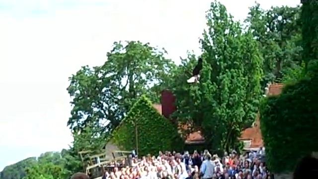 Bird of Prey Catching Something in Mid Air смотреть онлайн