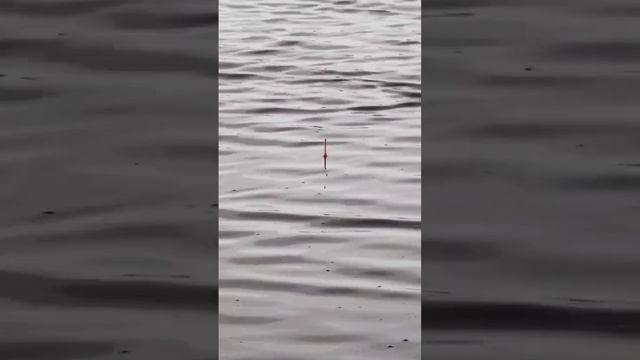 Карасевое озеро смотреть онлайн