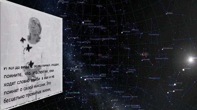 Хрустальные мысли 87. Межсферная таможня. смотреть онлайн