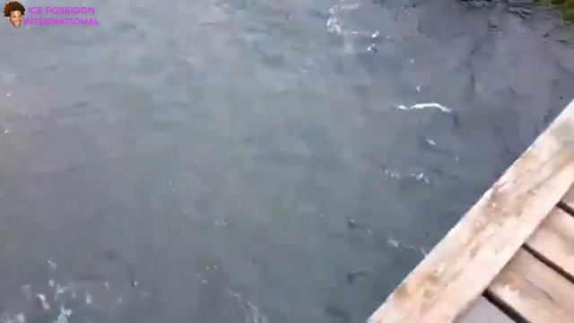 VISITING ICELAND WITH GREEK GOD (26/09/17) смотреть онлайн