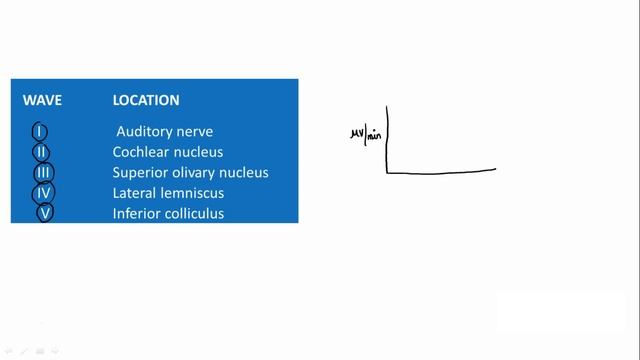 BAER (Brainstem Auditory Evoked Response) Test смотреть онлайн