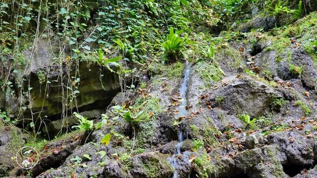 Наши девушки (Володя Батхёртов) смотреть онлайн
