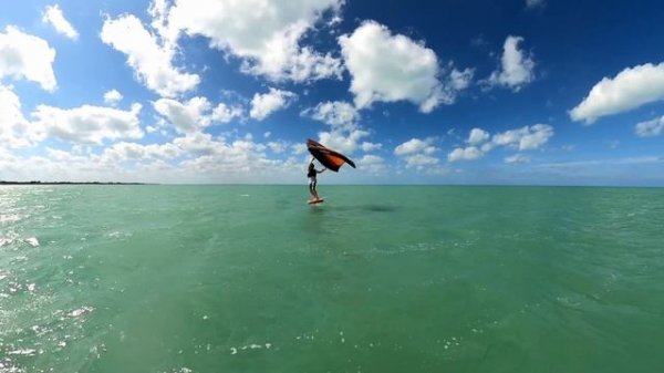 Wing Foil Coaching - Basic Transitions