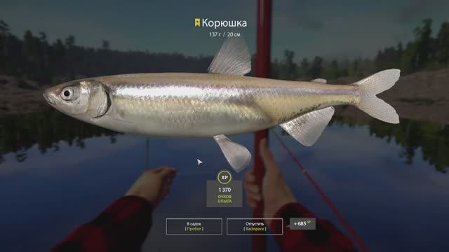 Русская Рыбалка 4 смотреть онлайн