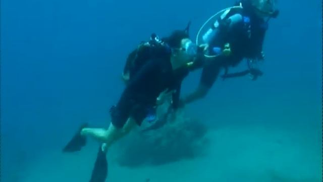 Denis's Scuba Diving with dolphins on reef near city Eilat - Israel смотреть онлайн