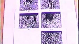 Торсионные поля. Важные технические детали.