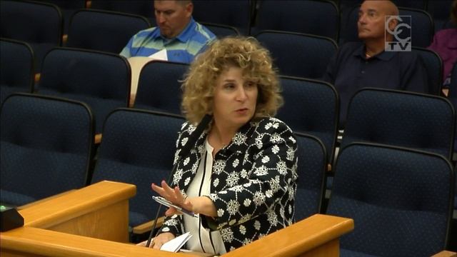 Planning and Zoning Board meeting смотреть онлайн